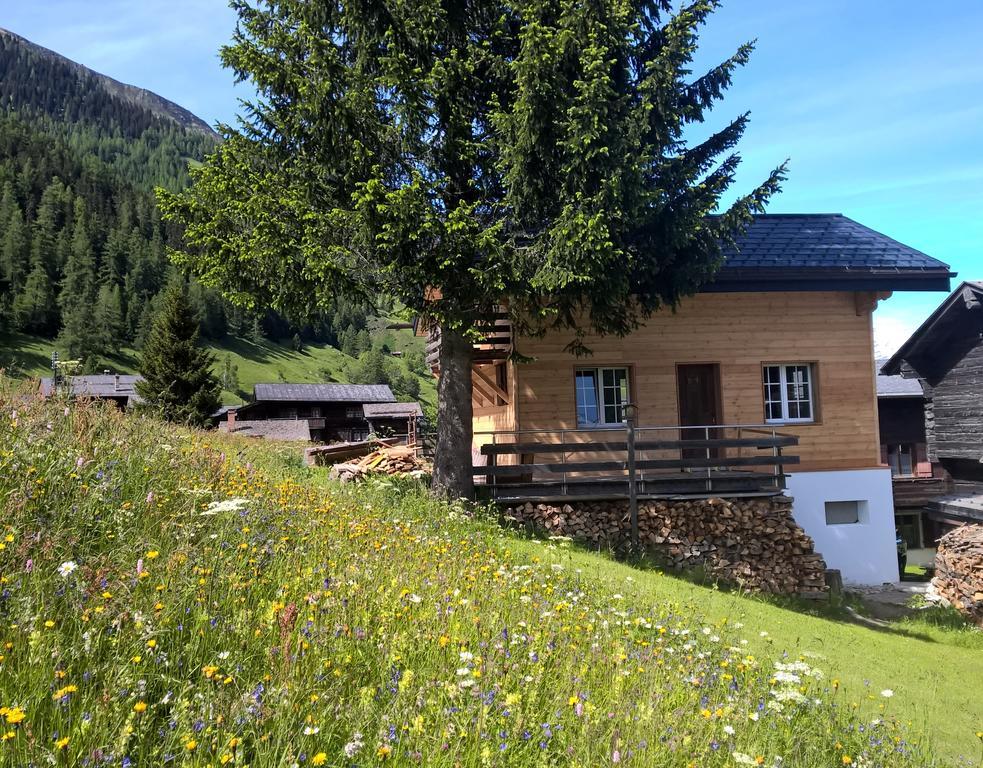 Chalet Daheim Reckingen 외부 사진